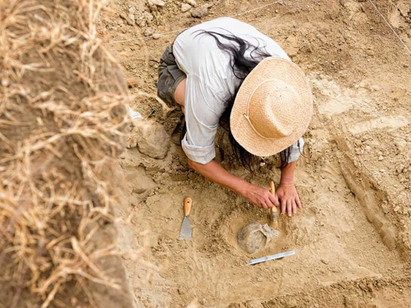 Arkeolog Olma Şartları Nelerdir?