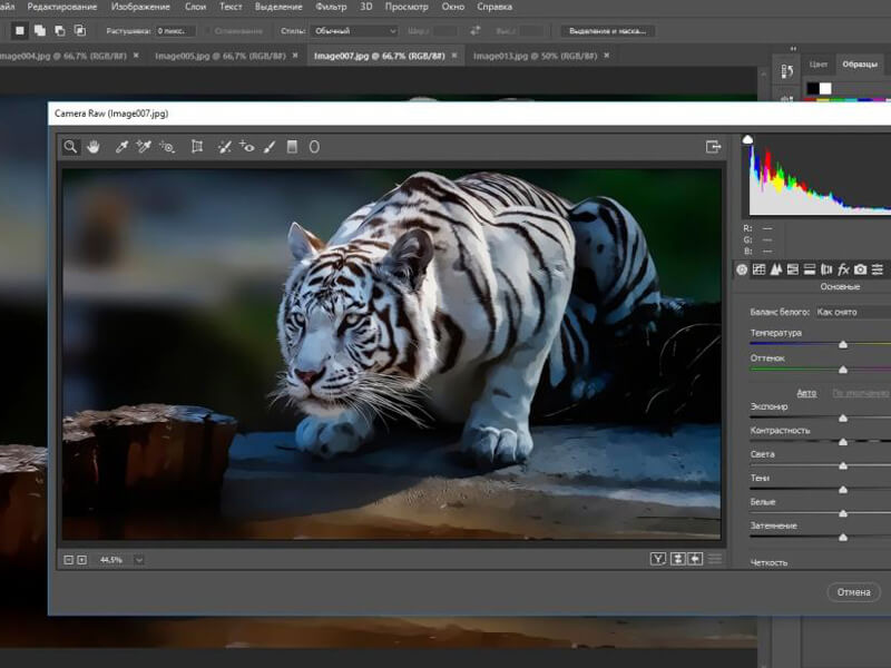 Adobe Photoshop Çalışma Sayfası Meydana Getirme