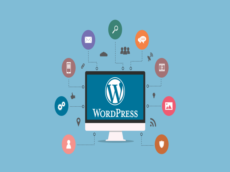 Wordpress nedir? Nasıl kurulur?