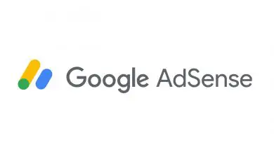 Google Adsense Pin Kodu