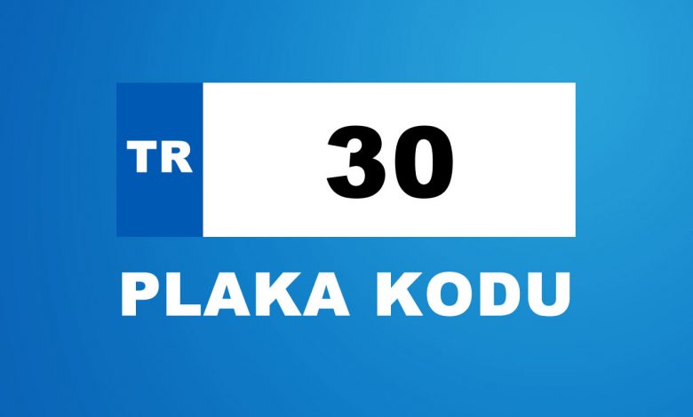 30 plaka kodu