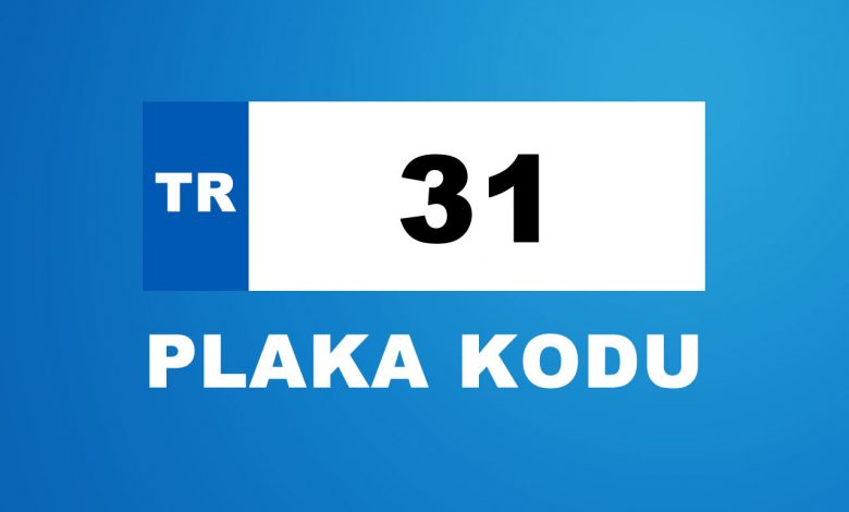 31 plaka kodu