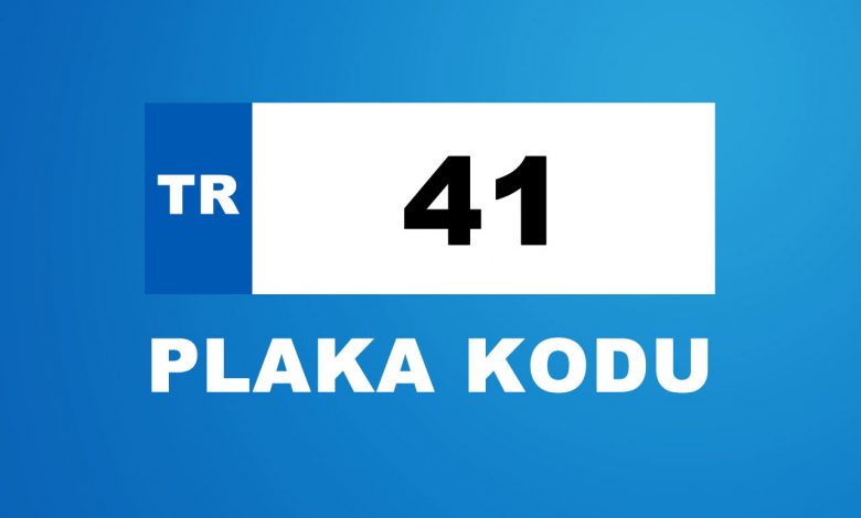 41 plaka kodu