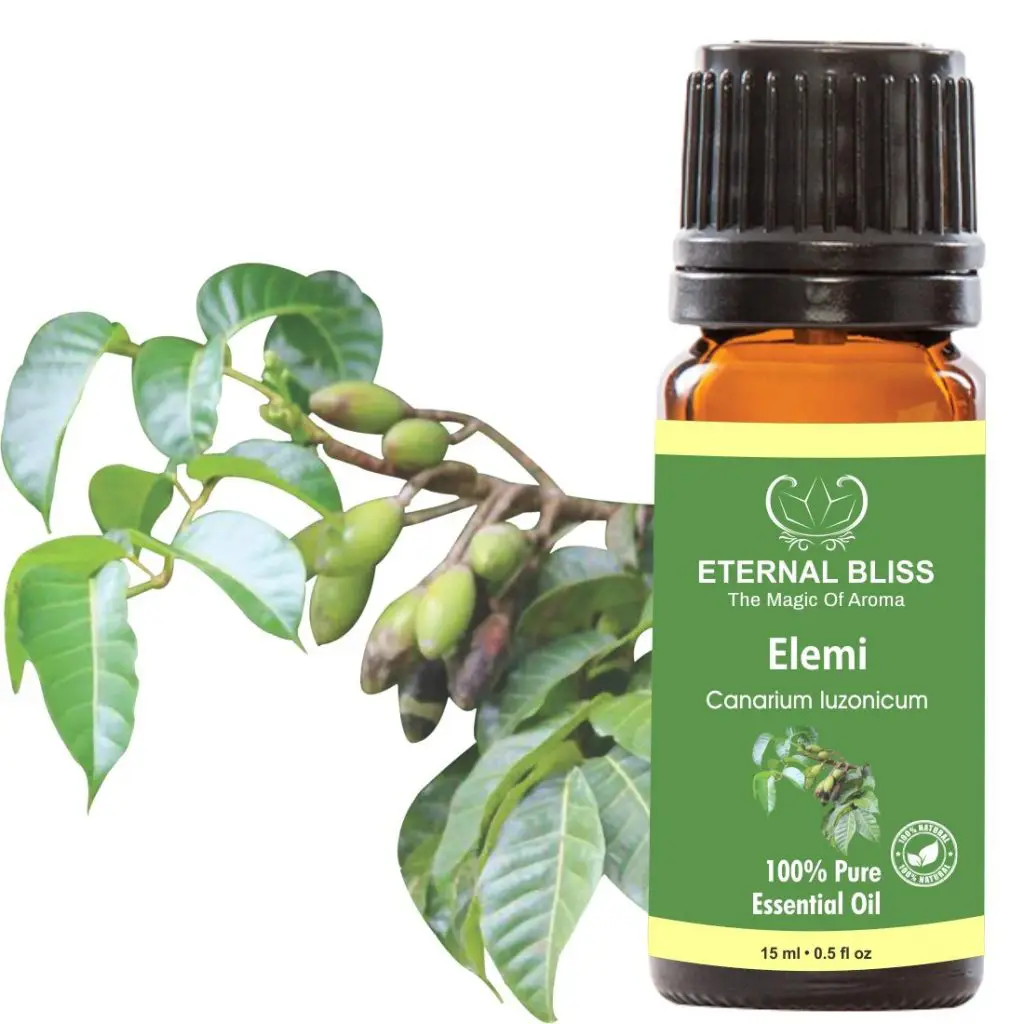 Elemi bitkisi