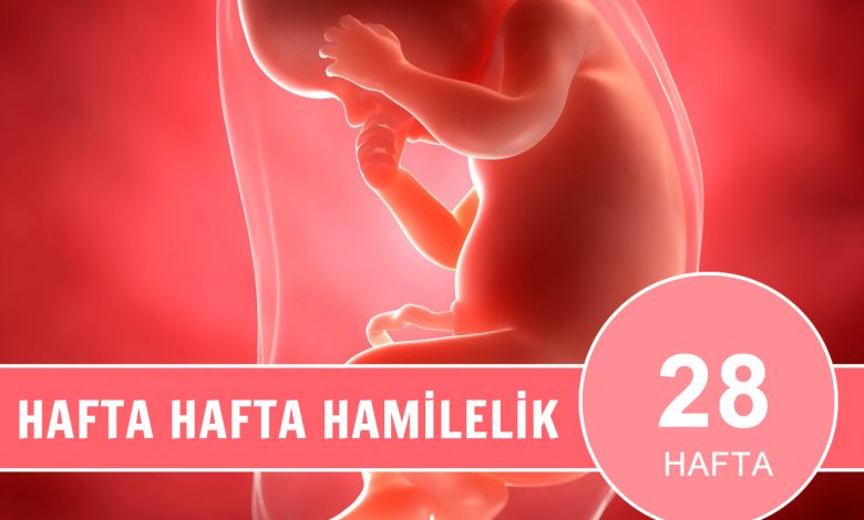 28 haftalık gebelik