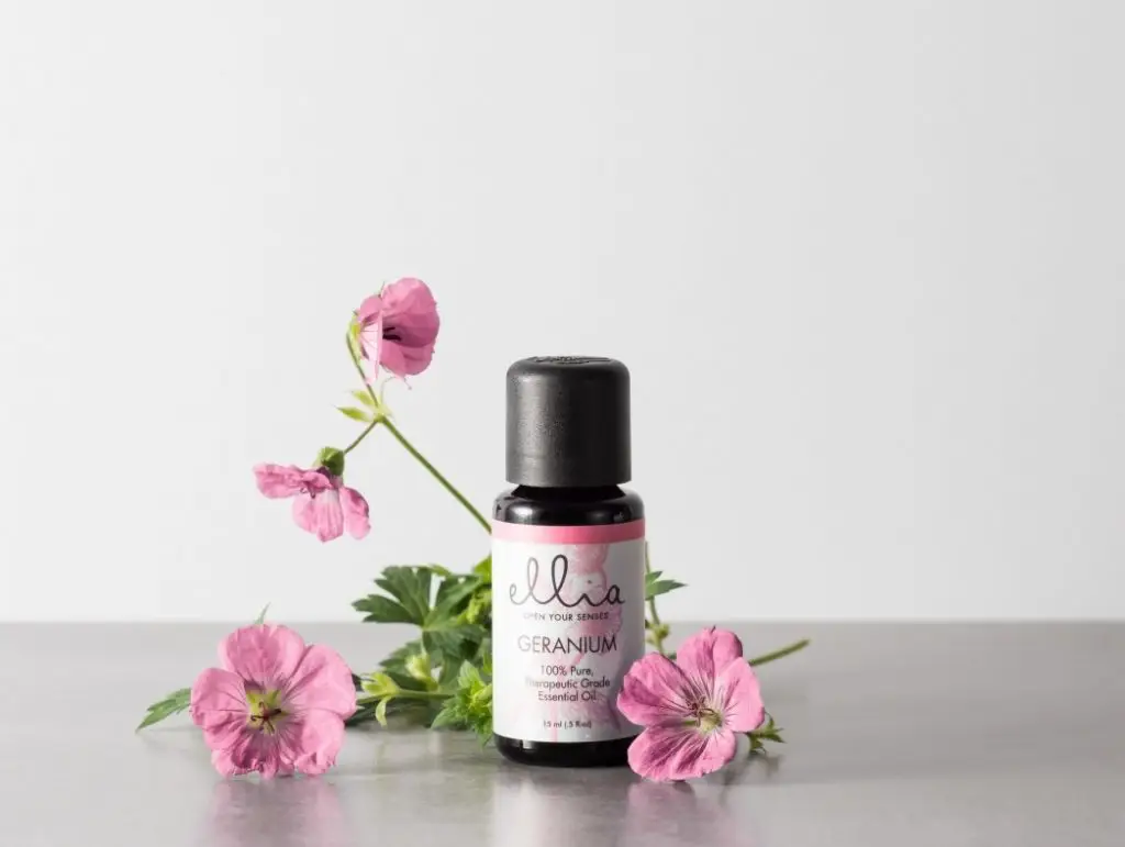 Sardunya Yağı Ne İşe Yarar? 1 Sardunya yağı