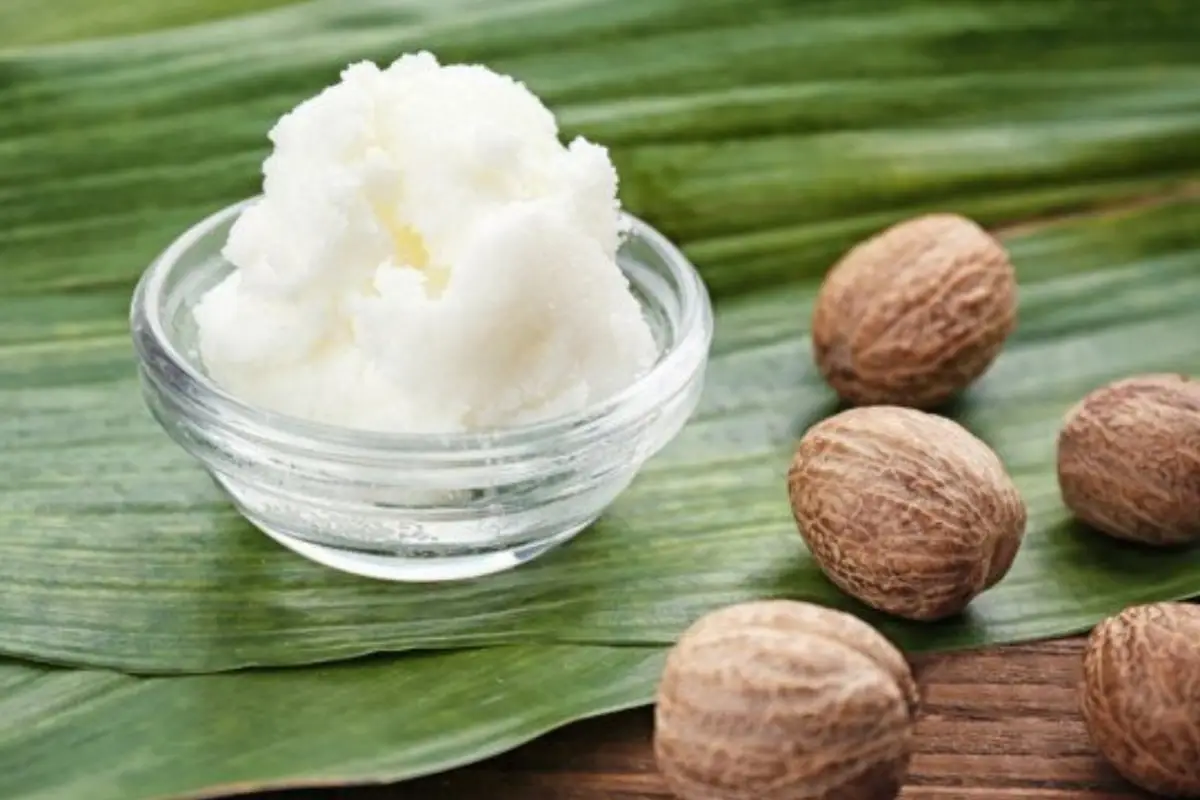 Shea Yağı (Shea Butter) Nedir? Nasıl Kullanılır?