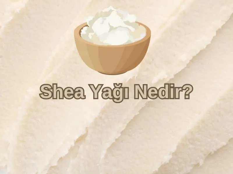 Shea Yağı Nedir?