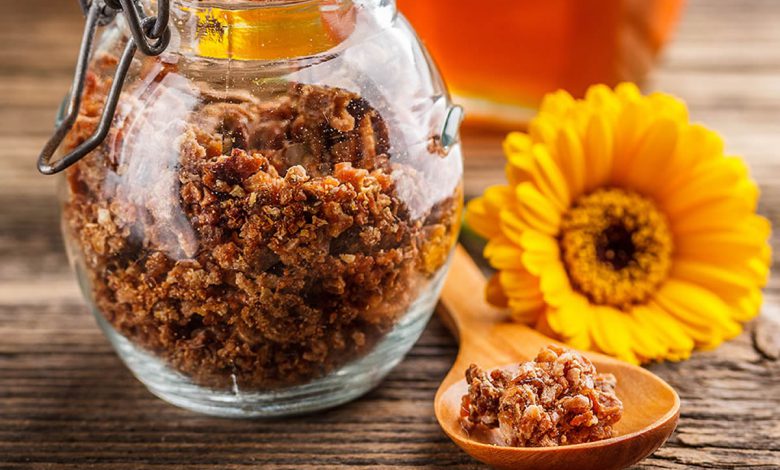 Propolis Nedir