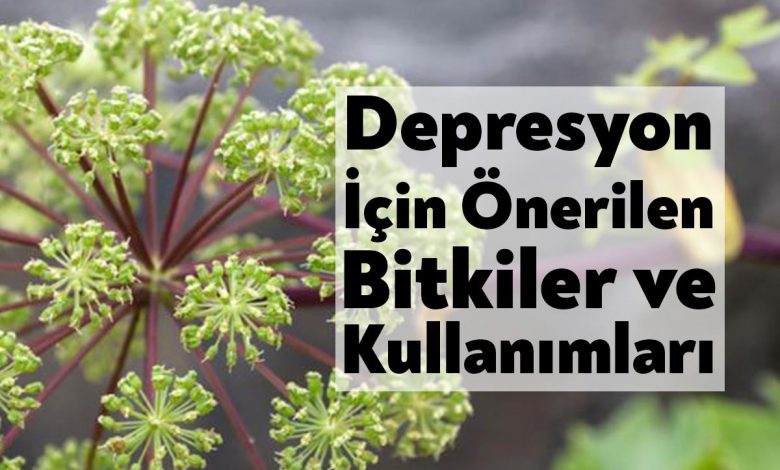 Depresyon için Önerilen Bitkiler