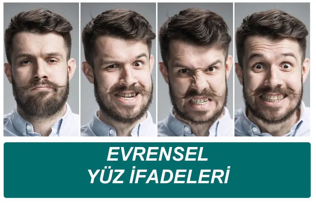 Evrensel Yüz İfadeleri