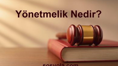 Yönetmelik Nedir?