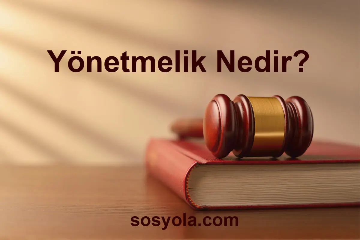 Yönetmelik Nedir? Detaylı Anlatım, Özellikleri ve Kurumsal Hayattaki Önemi