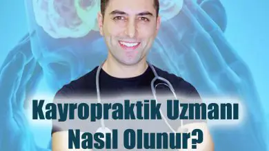 Kayropraktik Uzmanı Nasıl Olunur?