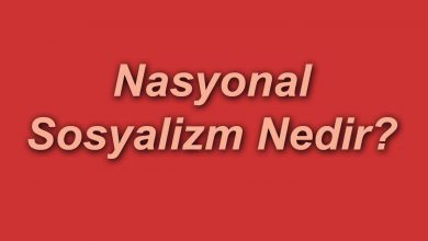 Nasyonal Sosyalizm