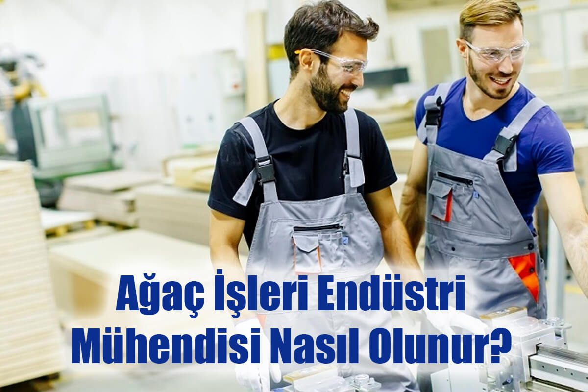 Ağaç İşleri Endüstri Mühendisi Nasıl Olunur? Maaşları Ne Kadar?