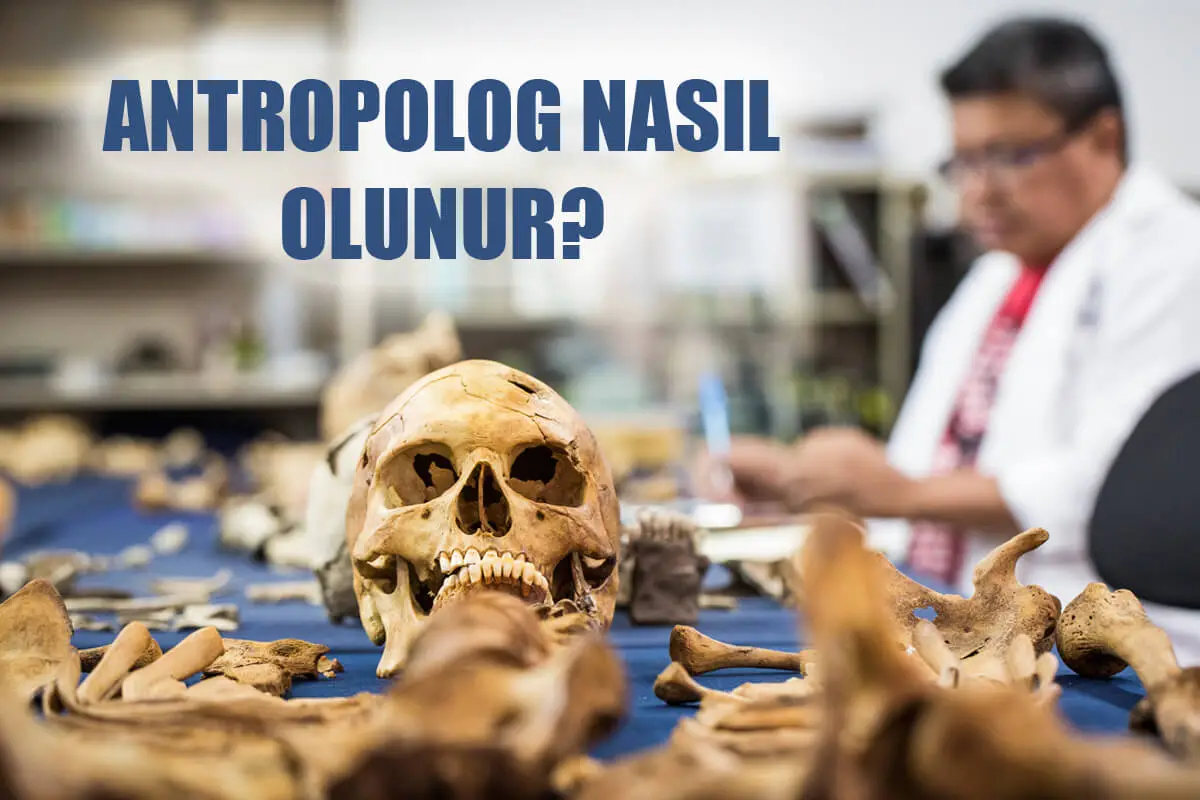 Antropolog Nasıl Olunur? Antropolog Maaşları Ne Kadar?