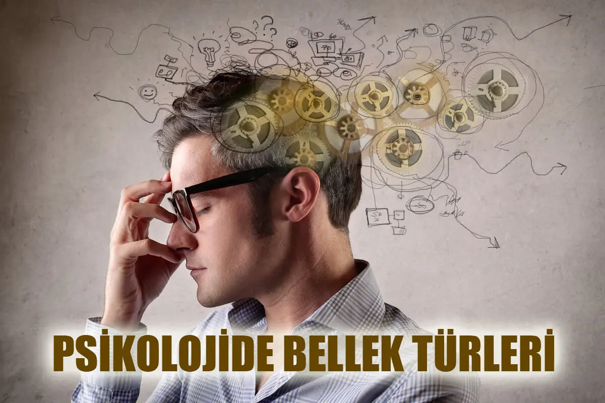 Psikolojide Bellek Türleri Nelerdir?