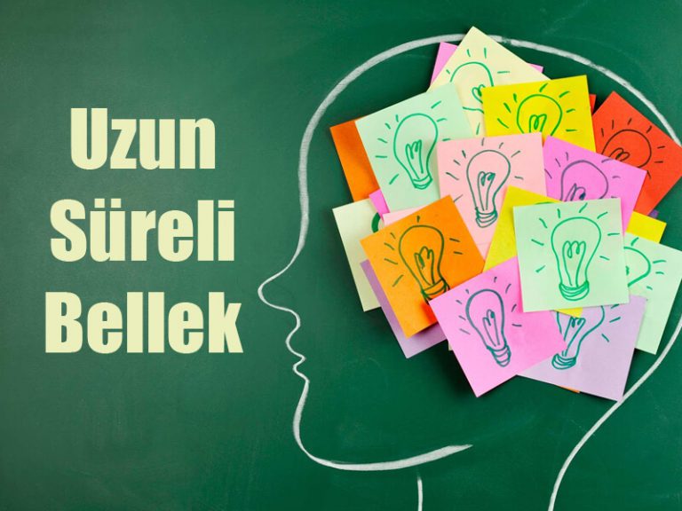 Uzun süreli hastalıklar nelerdir?