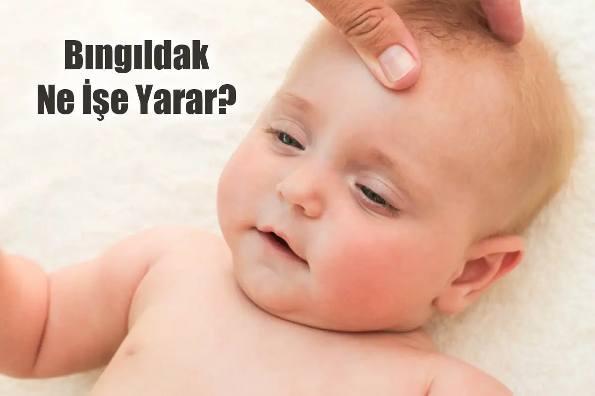 Bıngıldak Nedir, Ne İşe Yarar?