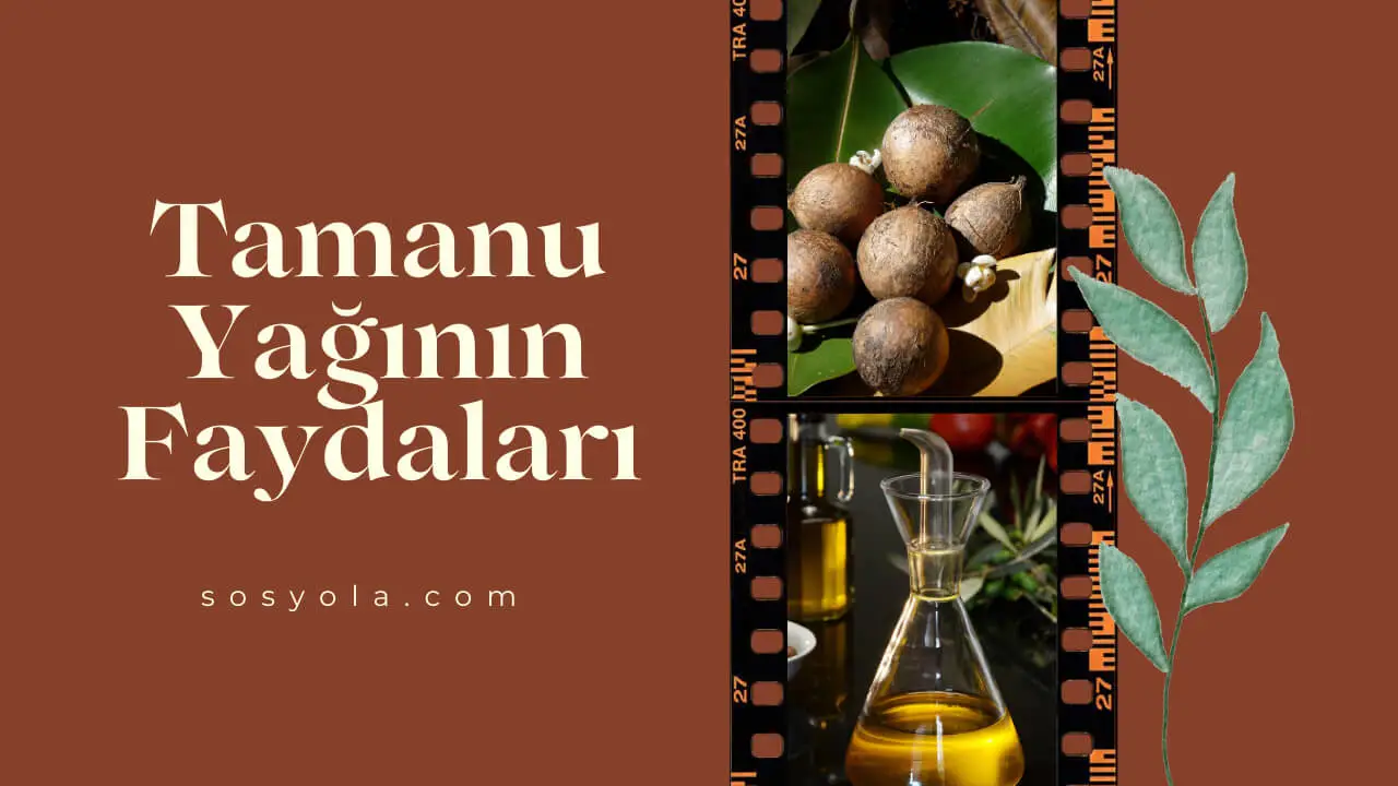Tamanu Yağının Faydaları