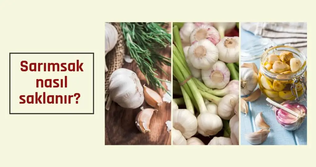Sağlıklı sarımsak tüketimi için neler yapılmalı? 1 Sarımsak nasıl saklanır?