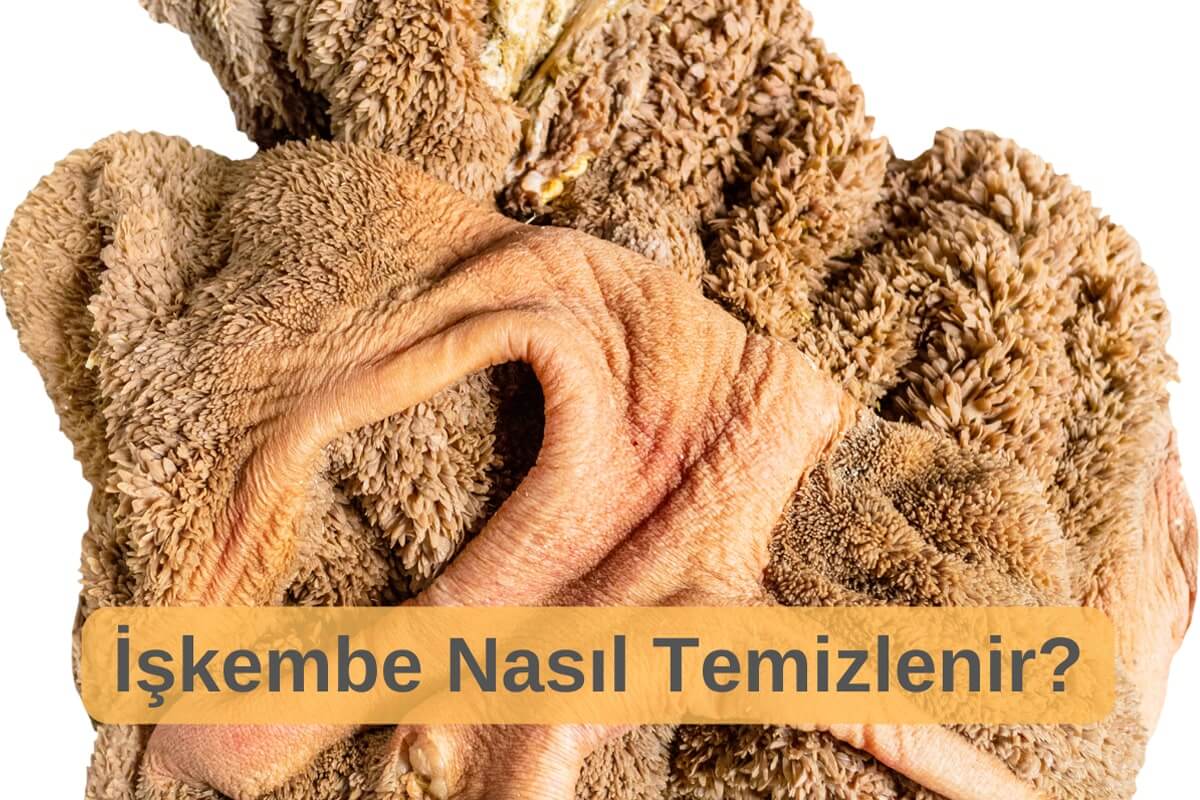 İşkembe Nasıl Temizlenir?