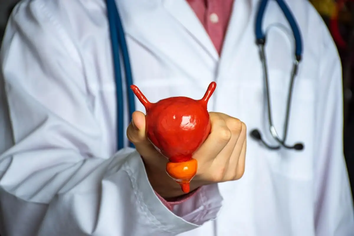 Prostat Biyopsisi Nedir? Nasıl Yapılır?