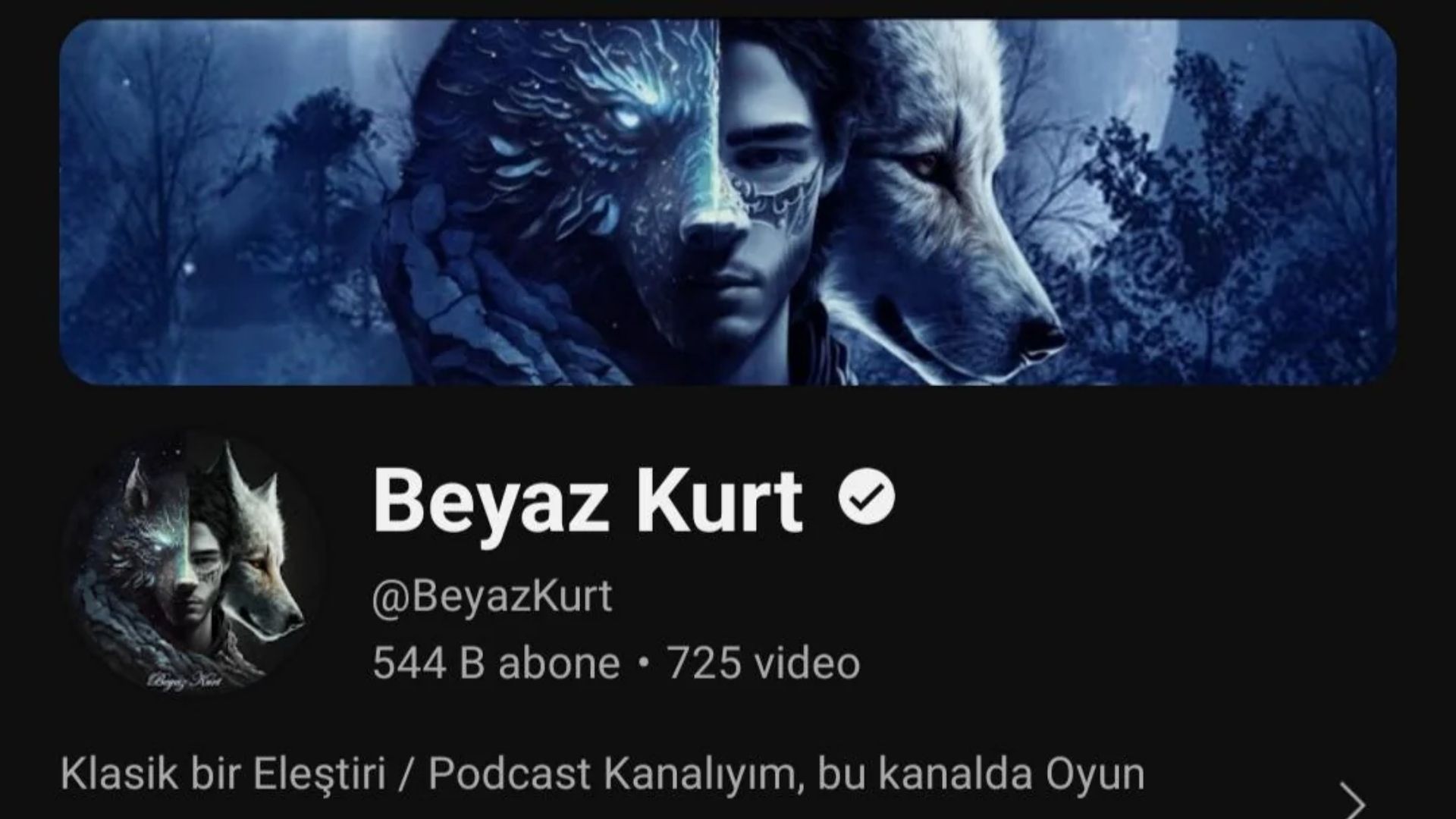 YouTube Beyaz Kurt Kimdir? Aylık Kazancı Ne Kadar 2024?