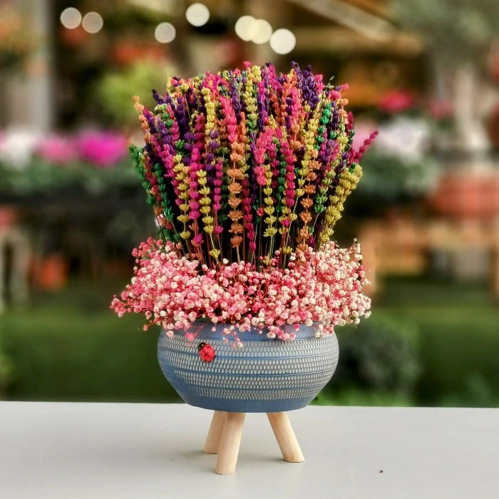 Anneler Günü İçin En Güzel Hediye 1 Anneler Günü İçin En Güzel Hediye 1