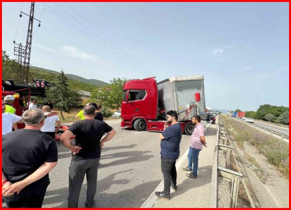 Tır Sürücüsü Arı Sokması Sonucu Fenalaşıp Şoka Girdi: Hayati Tehlike ve Alınması Gereken Önlemler;