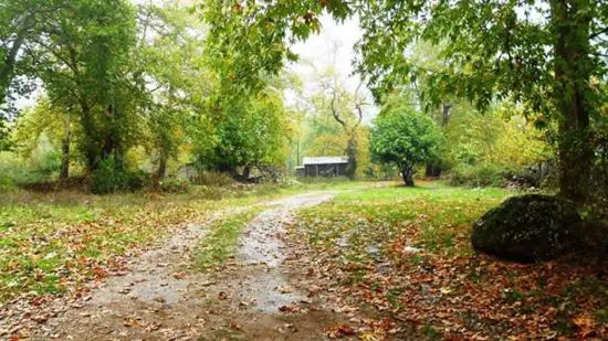 Adana Ücretsiz Kamp Alanları 4