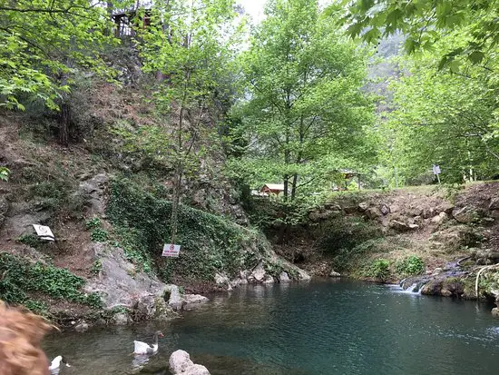 Adana Ücretsiz Kamp Alanları 5