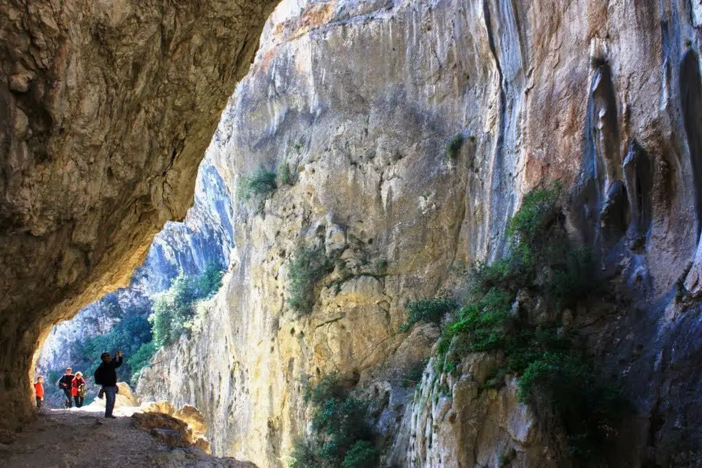 Adana Ücretsiz Kamp Alanları 7