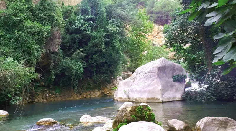 Adana Ücretsiz Kamp Alanları 8
