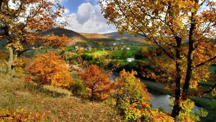 Ordu Ücretsiz Kamp Alanları 6