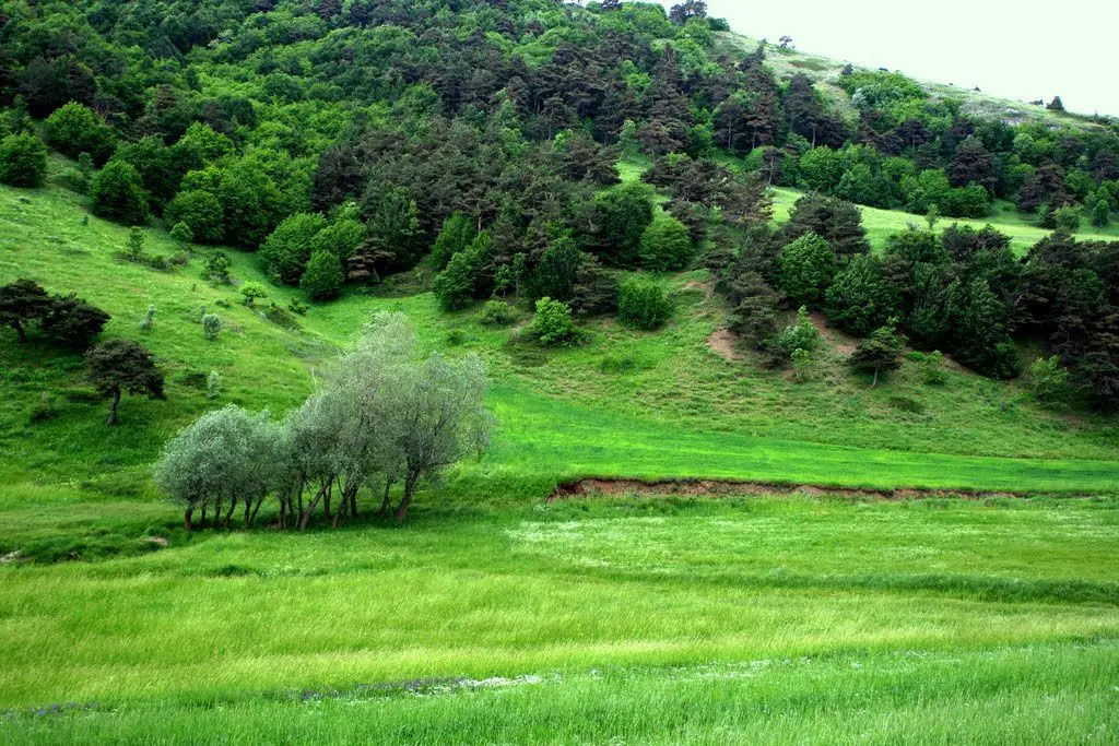 Tokat Ücretsiz Kamp Alanları 2