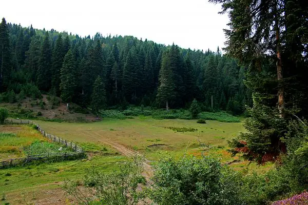 Karabük Ücretsiz Kamp Alanları 2
