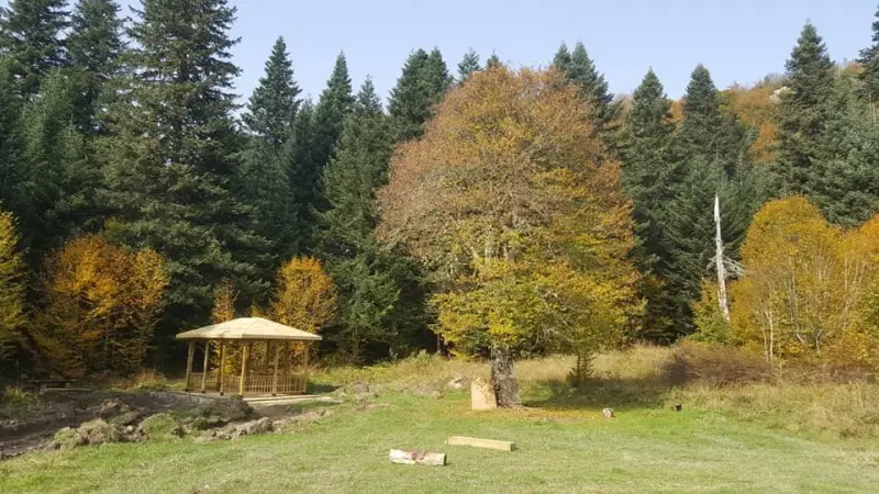 Bartın Ücretsiz Kamp Alanları 8