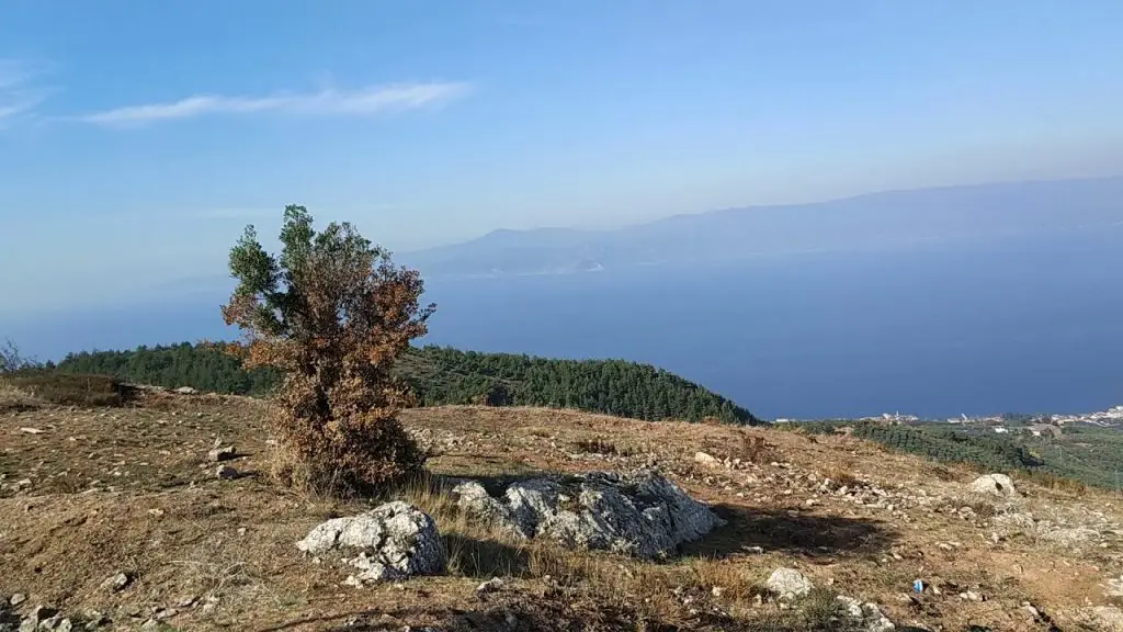 Marmara Adası Ücretsiz Kamp Alanları 3