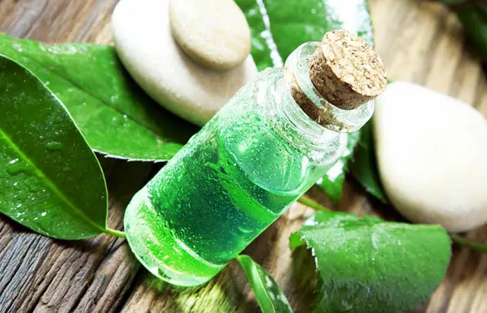Aloe Vera Saç Maskesi Tarifleri