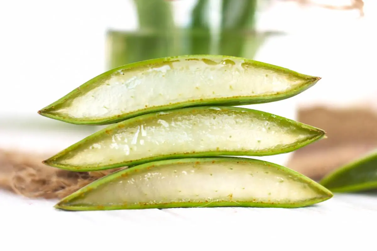 Aloe Vera Yüz Maskesi Nasıl Yapılır?