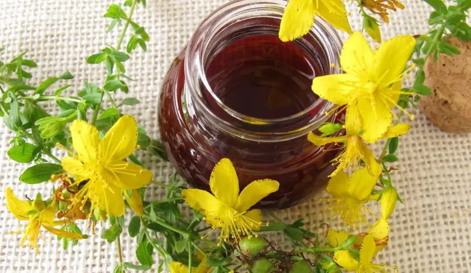 Kantaron Yağı İle Cilt Beyazlatma