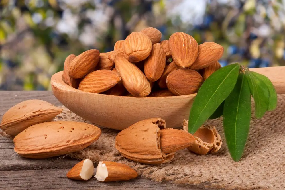 Acıbadem Yağının Cilde Faydaları 3 Acıbadem Yağının Cilde Faydaları 3