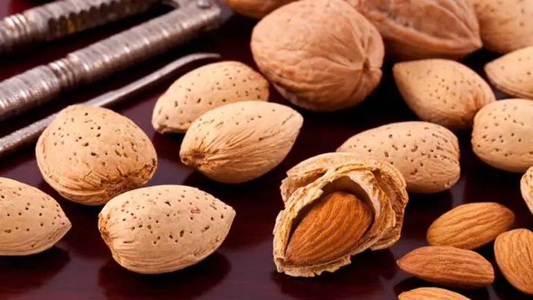 Acıbadem Yağının Cilde Faydaları 4 Acıbadem Yağının Cilde Faydaları 4