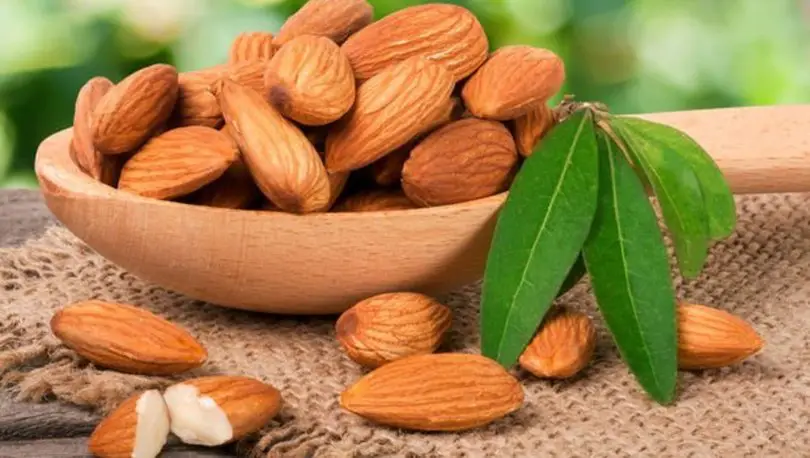 Acıbadem Yağının Cilde Faydaları 1 Acıbadem Yağının Cilde Faydaları 1