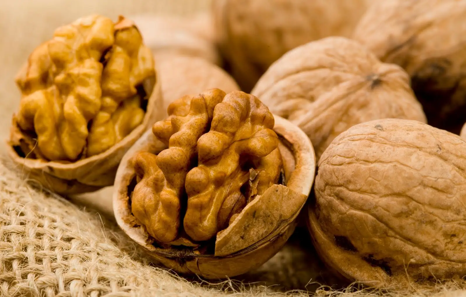 Ceviz Yağının Faydaları: Doğal İçeriğin Bilimsel Gücü