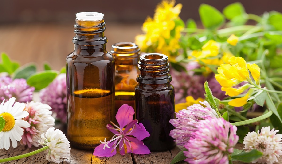 Jojoba Yağının Cilde Faydaları Nelerdir?