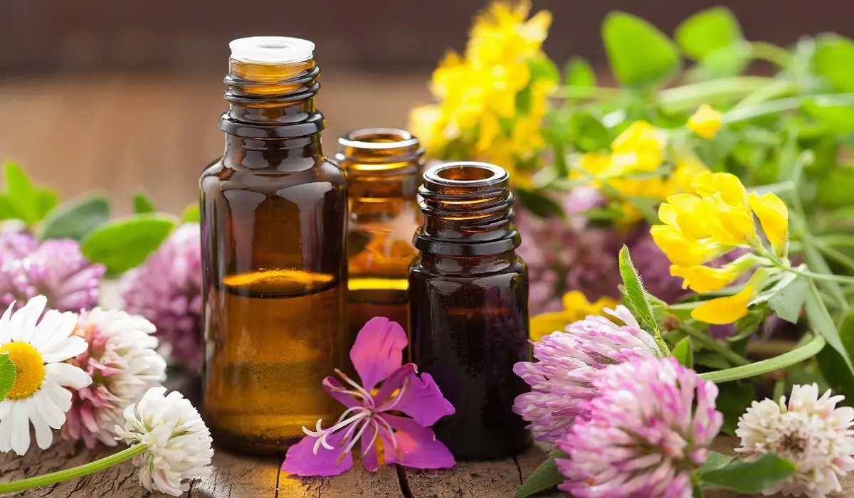 Jojoba Yağının Cilde Faydaları Nelerdir?