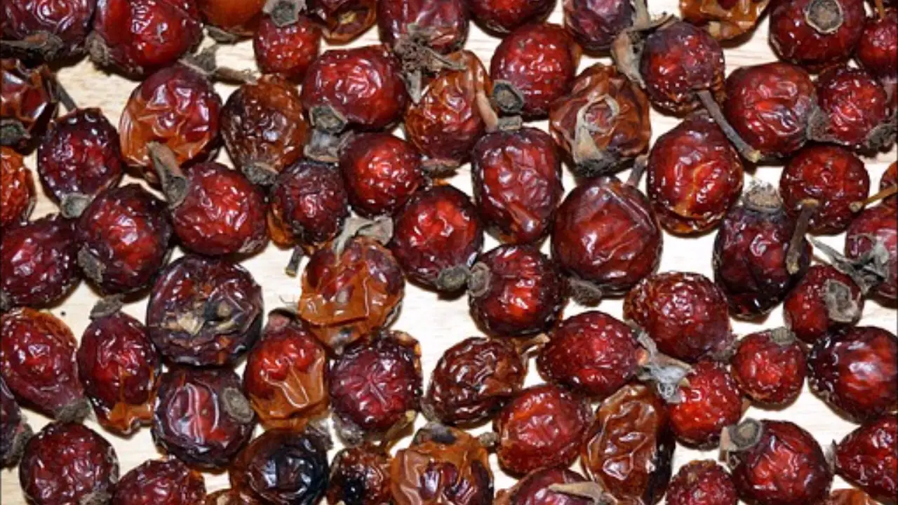 Kuşburnu Yağının Faydaları